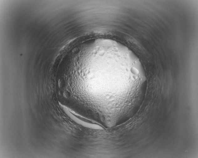 X0000062800776200601051111