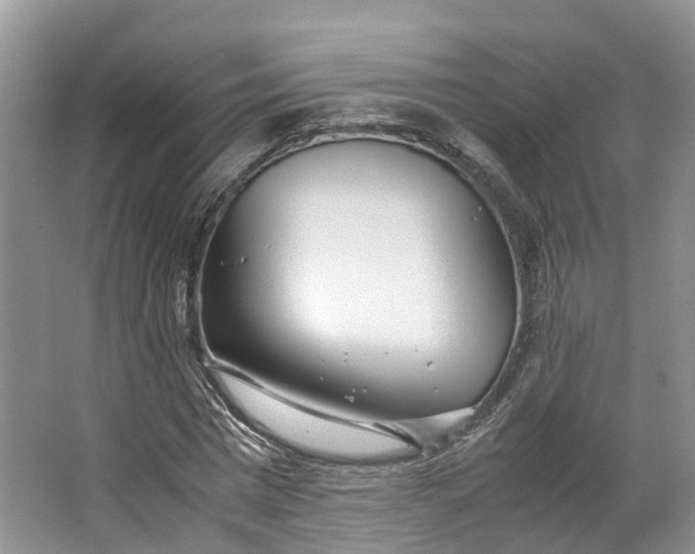 X0000062800777200601051110