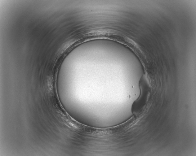 X0000062800778200601051110