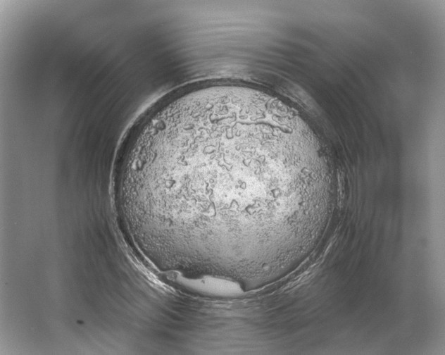 X0000062800780200601051110