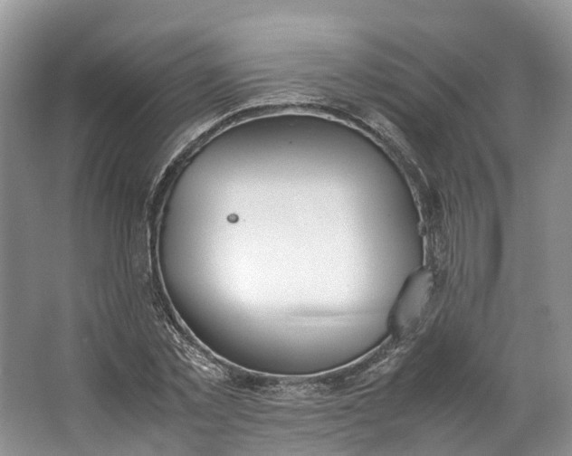 X0000062800781200601051110