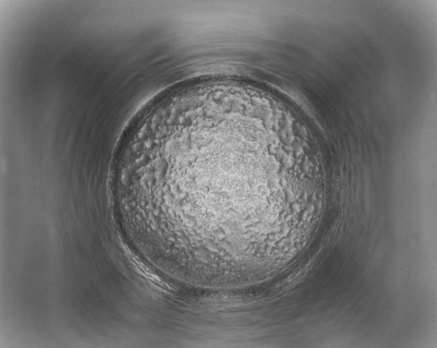 X0000062800783200601051110