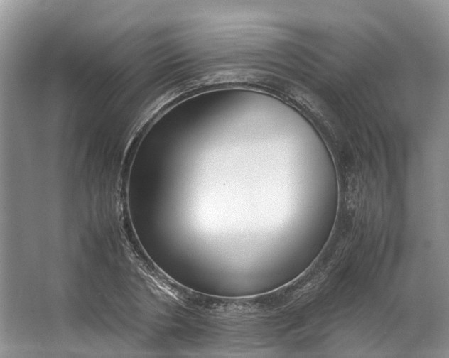 X0000062800786200601051110