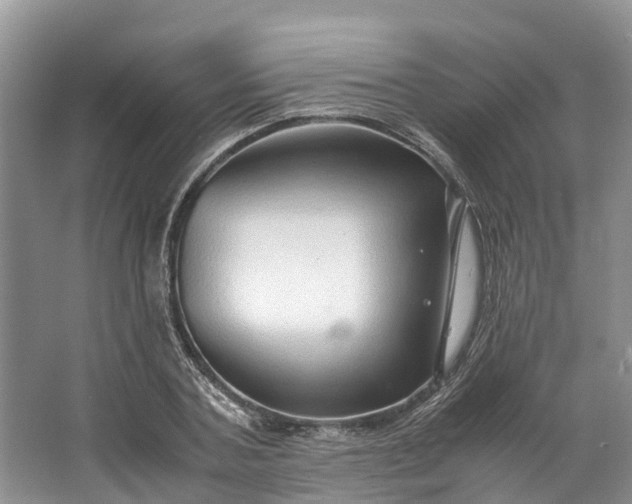 X0000062800787200601051110