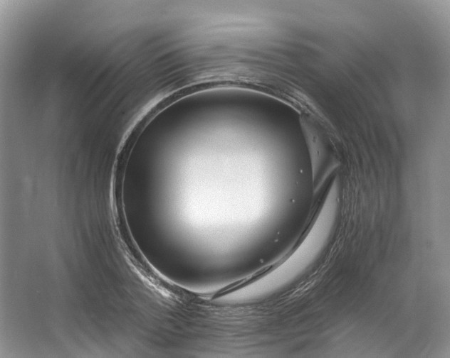 X0000062800788200601051110