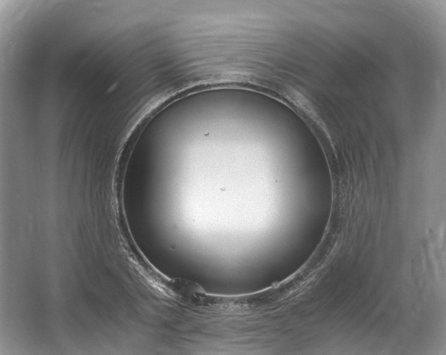 X0000062800789200601051110