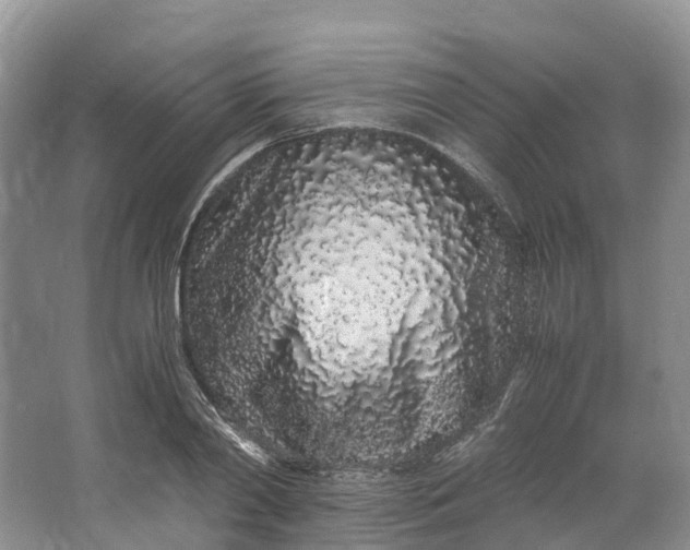 X0000062800790200601051110