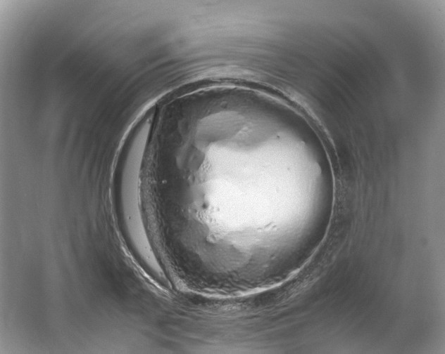 X0000062800791200601051110