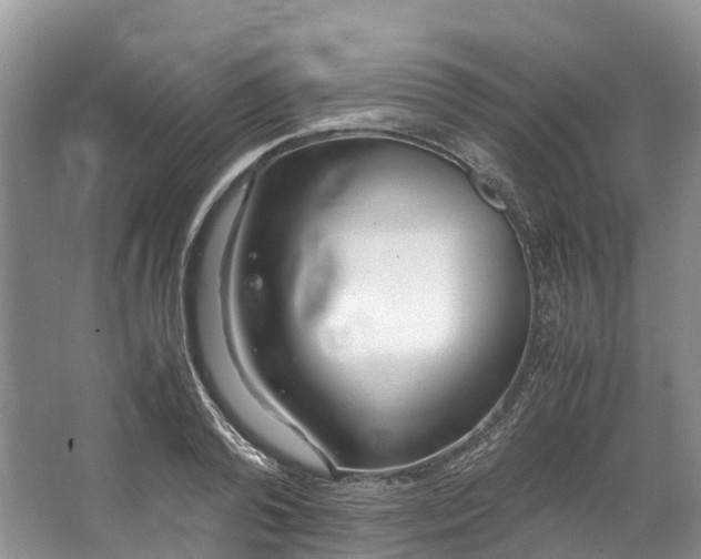 X0000062800792200601051110