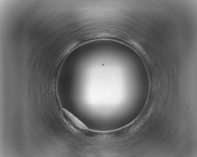 X0000062800793200601051110