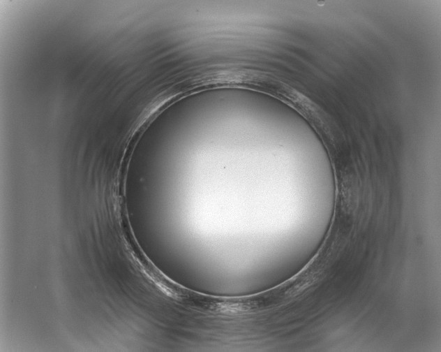 X0000062800794200601051110