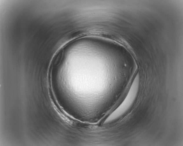 X0000062800795200601051110