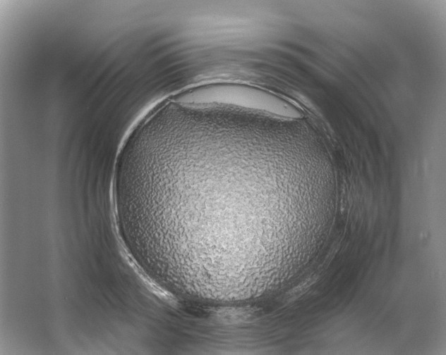 X0000062800796200601051110