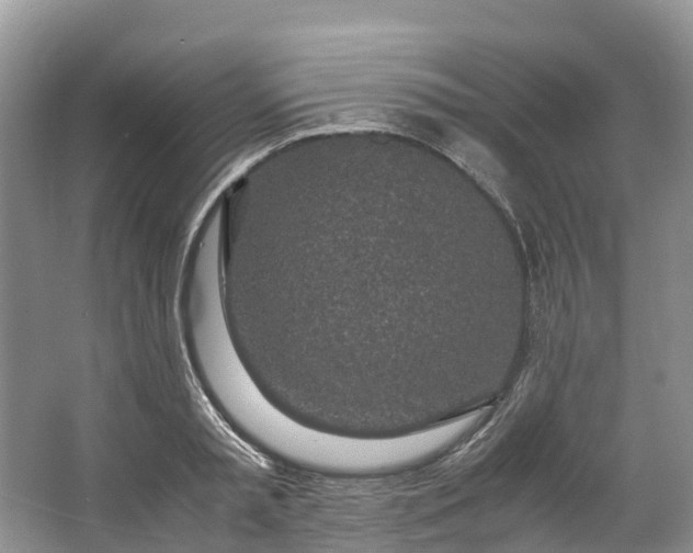 X0000062800797200601051110