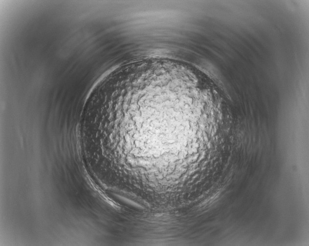 X0000062800798200601051110