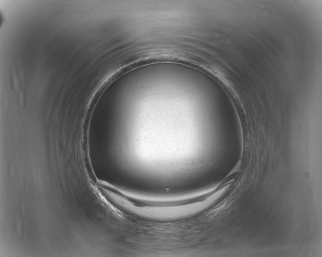 X0000062800799200601051110