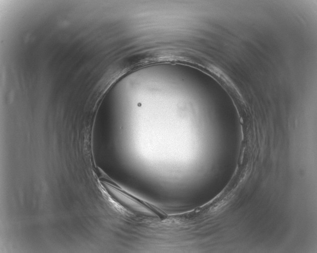 X0000062800801200601051110