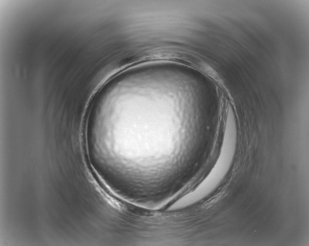 X0000062800803200601051110