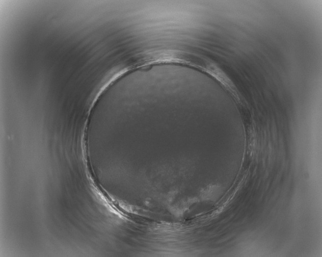 X0000062800806200601051110