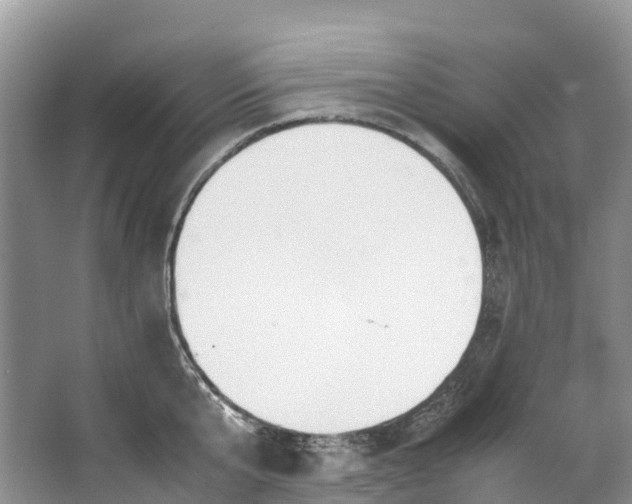 X0000062800807200601051110