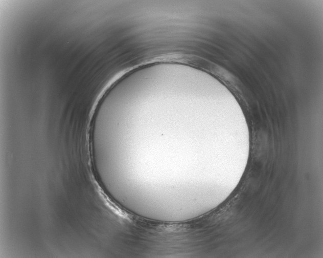 X0000062800808200601051110