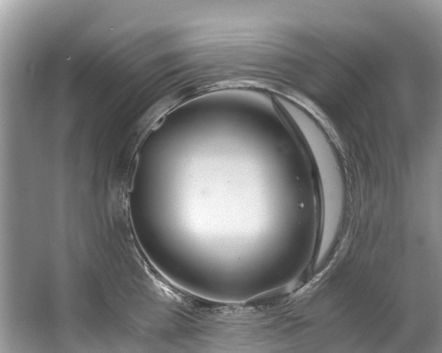 X0000062800809200601051110