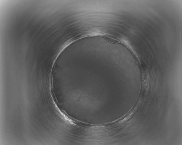 X0000062800810200601051110