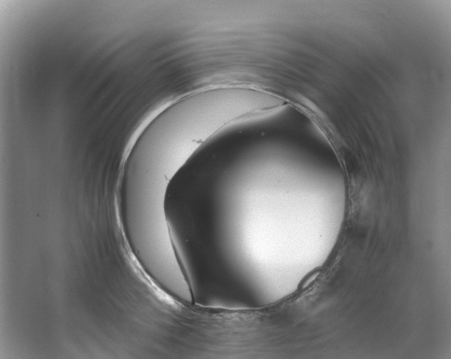 X0000062800812200601051110