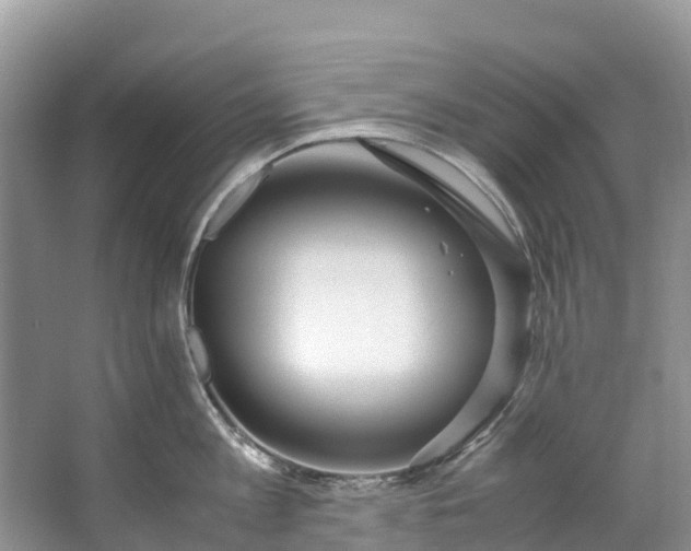 X0000062800813200601051110