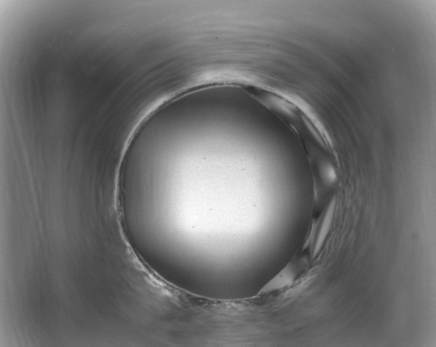 X0000062800815200601051110