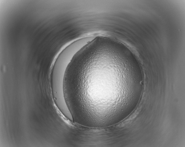 X0000062800816200601051110