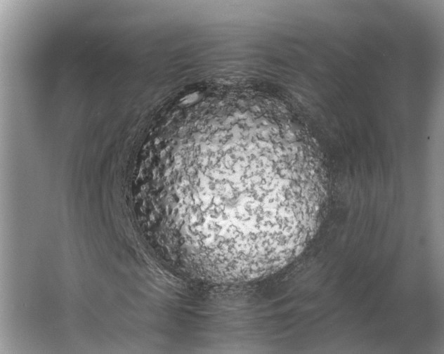 X0000062800817200601051109