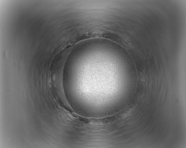 X0000062800818200601051109