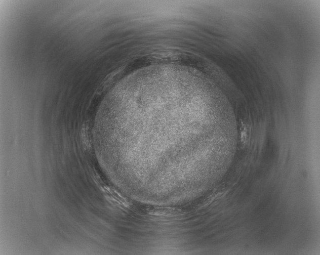 X0000062800819200601051109