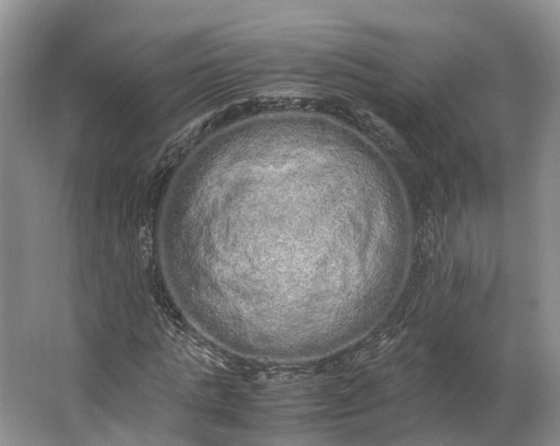 X0000062800821200601051109