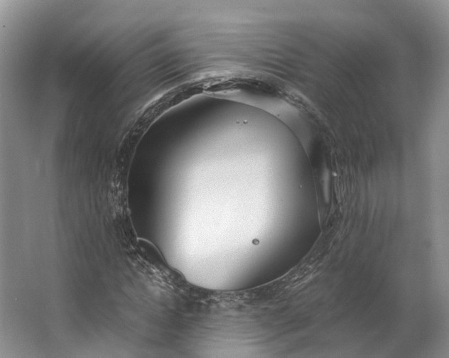 X0000062800822200601051109