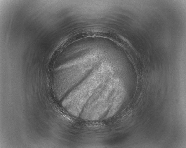 X0000062800823200601051109