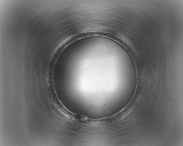 X0000062800826200601051109