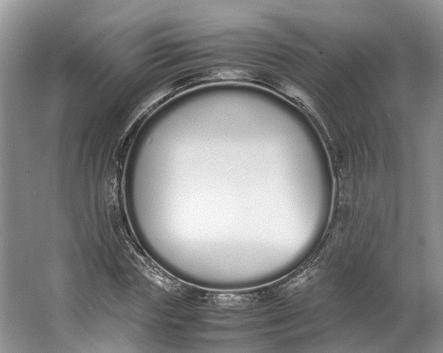 X0000062800827200601051109