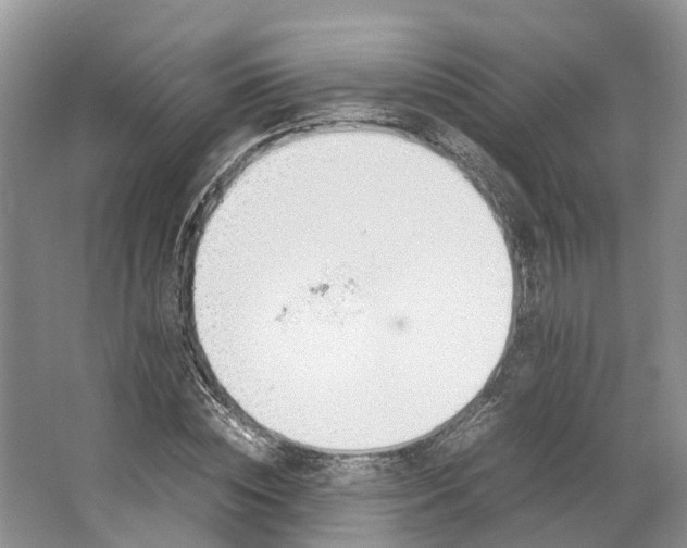 X0000062800828200601051109