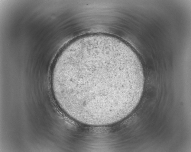 X0000062800832200601051109