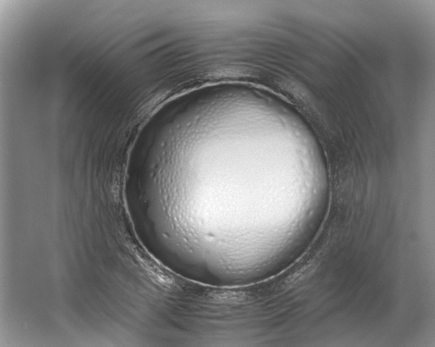 X0000062800833200601051109