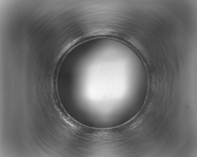 X0000062800834200601051109