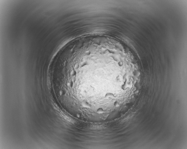 X0000062800835200601051109