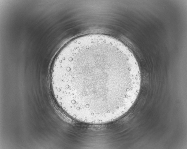 X0000062800836200601051109