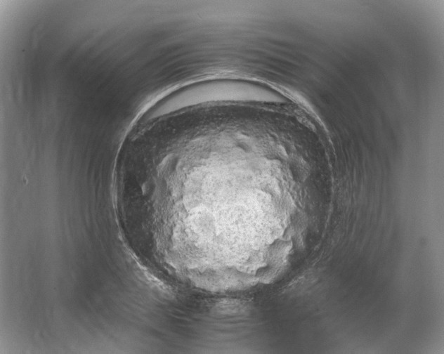 X0000062800839200601051109