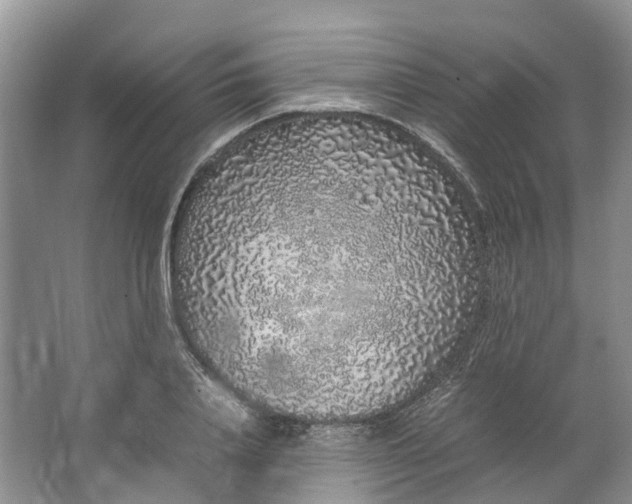 X0000062800840200601051109