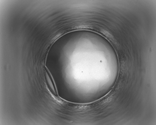 X0000062800841200601051109