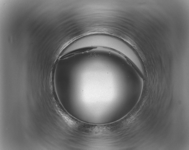 X0000062800842200601051109