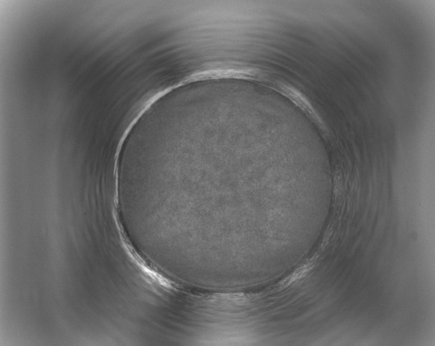 X0000062800844200601051109